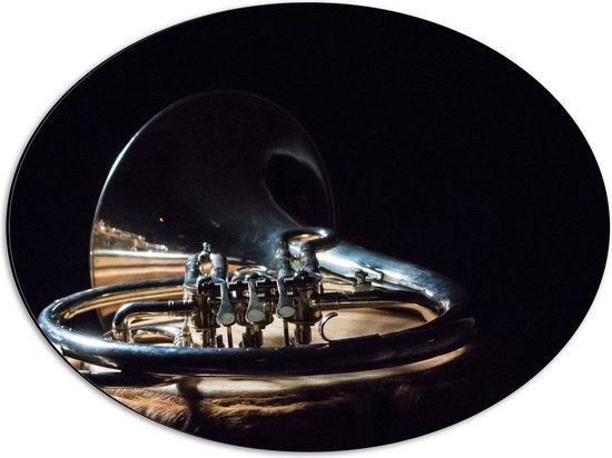 Dibond Ovaal - Liggend Goud Blaas Instrument tegen Zwarte Achtergrond - 56x42 cm Foto op Ovaal (Met Ophangsysteem)