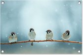 Tuinposter vogels - Mus - Dieren - Sneeuw - Natuur - Winter - Schutting decoratie - Tuin - Schuttingdoek - 60x40 cm - Tuindoek - Tuindecoratie - Tuinschilderij voor buiten - Buitenposter