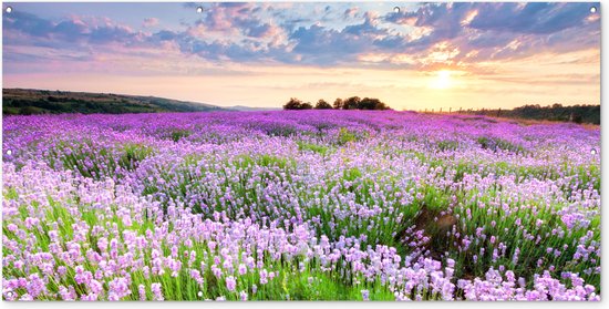 Affiche clôture Lavande - Fleurs - Coucher de soleil - Violet - Prairie - 200x100 cm - Toile de jardin