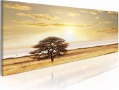 Schilderij - Eenzame Boom, Geel , wanddecoratie , premium print op canvas