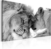 Schilderij - Leeuwen liefde in zwart wit
