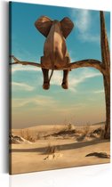 Schilderij - Olifant uitrustend op een tak in de woestijn.
