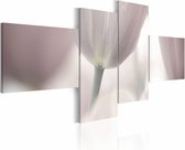 Schilderij - Pastelkleurige tulp , wit roze , 4 luik