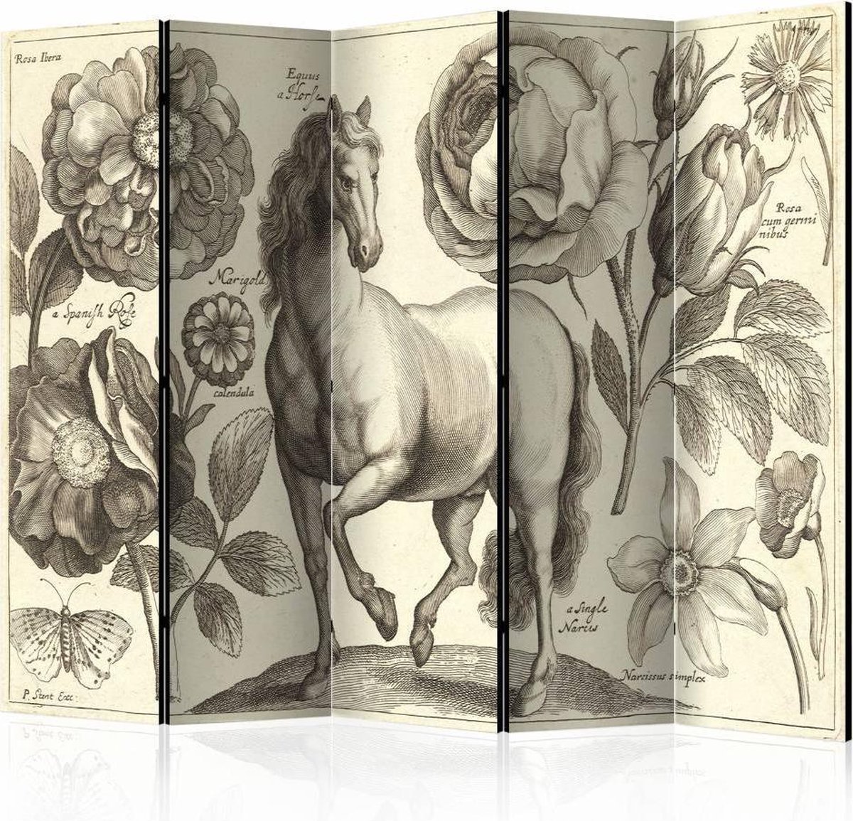 Vouwscherm - Paard 225x172cm , gemonteerd geleverd, dubbelzijdig geprint (kamerscherm)