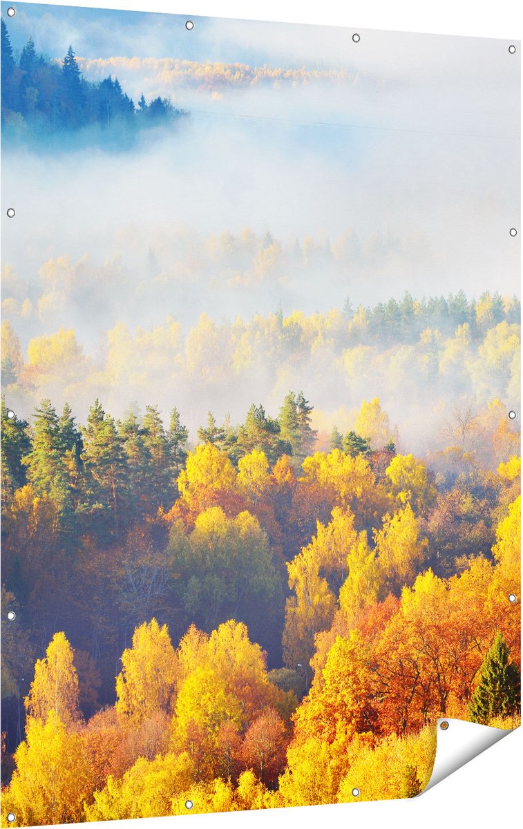 Gards Tuinposter Gekleurde Herfstbos met Mist - 120x160 cm - Tuindoek - Tuindecoratie - Wanddecoratie buiten - Tuinschilderij Multikleur