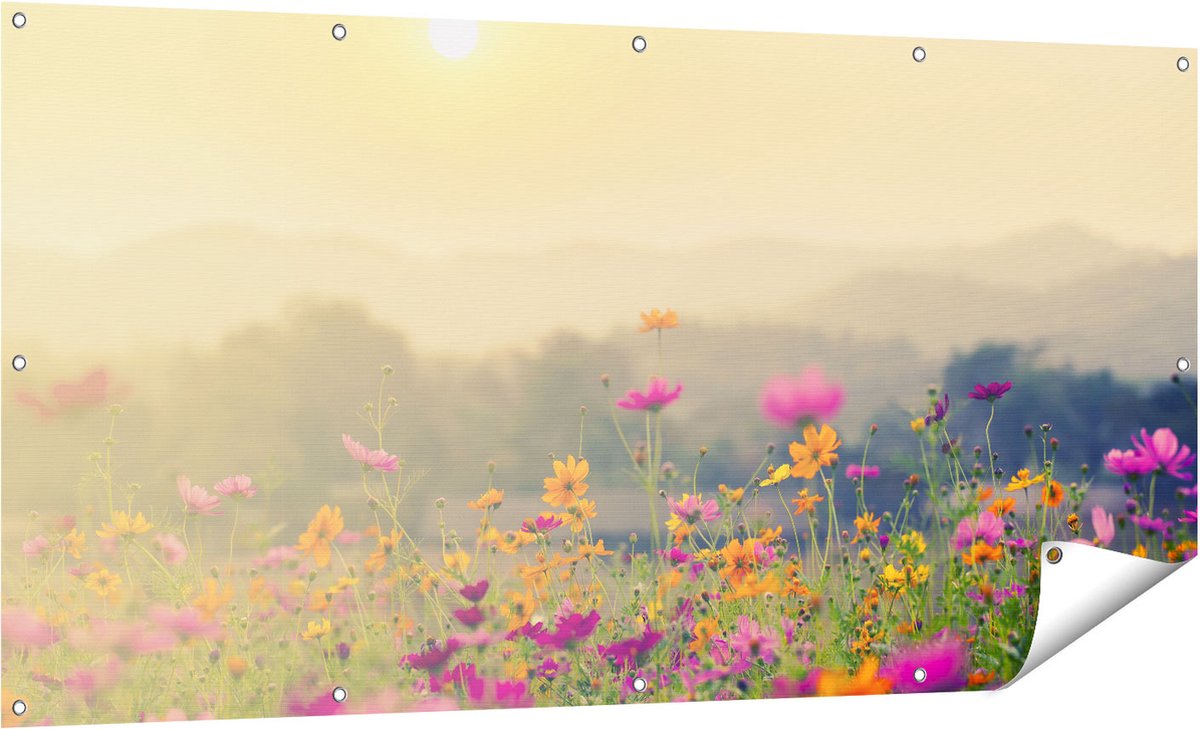Gards Tuinposter Bloemenveld met Kosmos - Zonsondergang - 160x80 cm - Tuindoek - Tuindecoratie - Wanddecoratie buiten - Tuinschilderij Multikleur