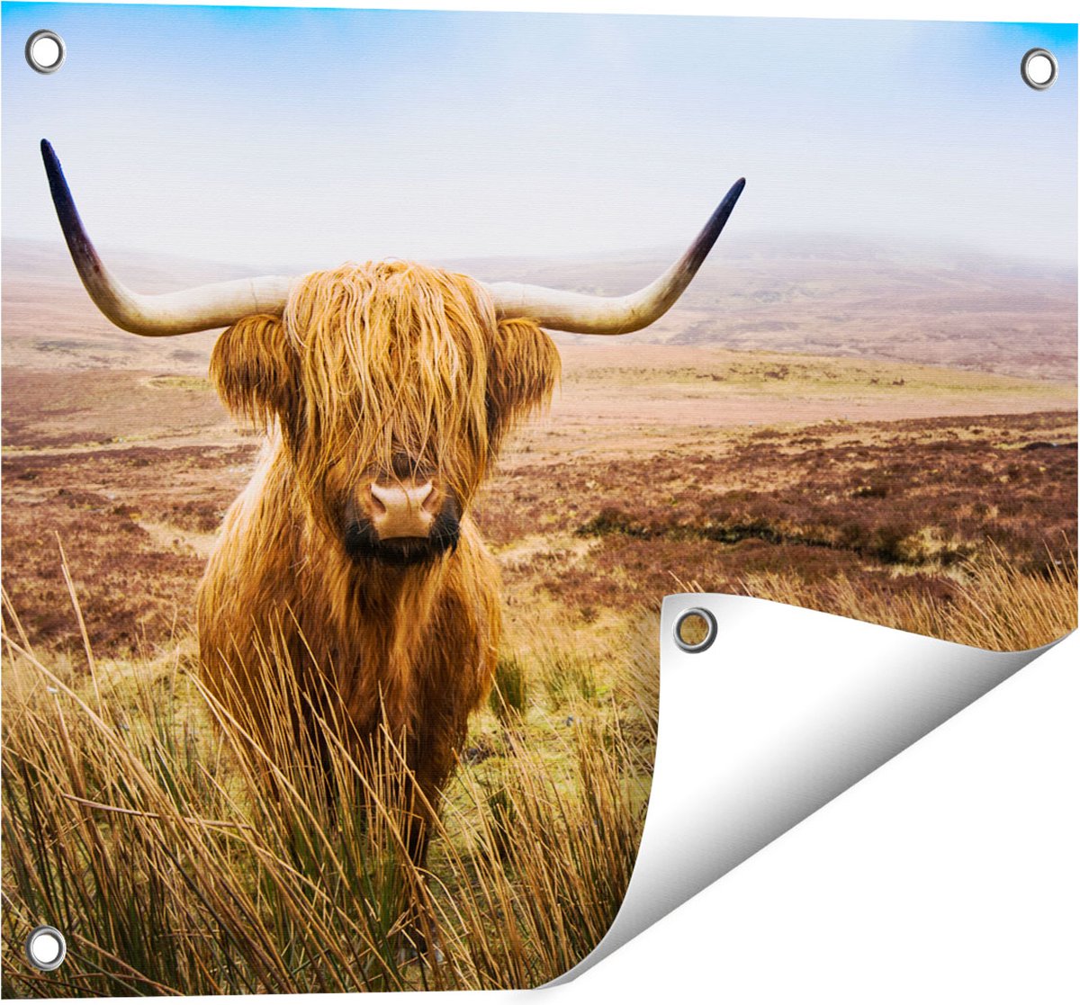 Gards Tuinposter Schotse Hooglander Koe in het Veld - 50x40 cm - Tuindoek - Tuindecoratie - Wanddecoratie buiten - Tuinschilderij Multikleur