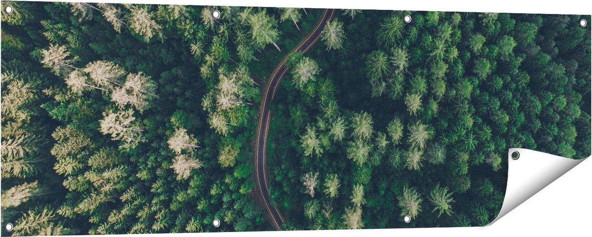 Gards Tuinposter Weg Door Bos met Bomen - Bovenaanzicht - 150x50 cm - Tuindoek - Tuindecoratie - Wanddecoratie buiten - Tuinschilderij Multikleur
