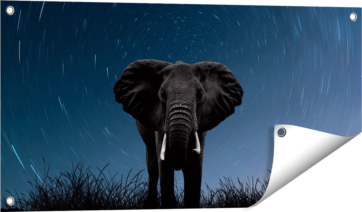 Gards Tuinposter Olifant Omringd met Sterren - 80x40 cm - Tuindoek - Tuindecoratie - Wanddecoratie buiten - Tuinschilderij Multikleur