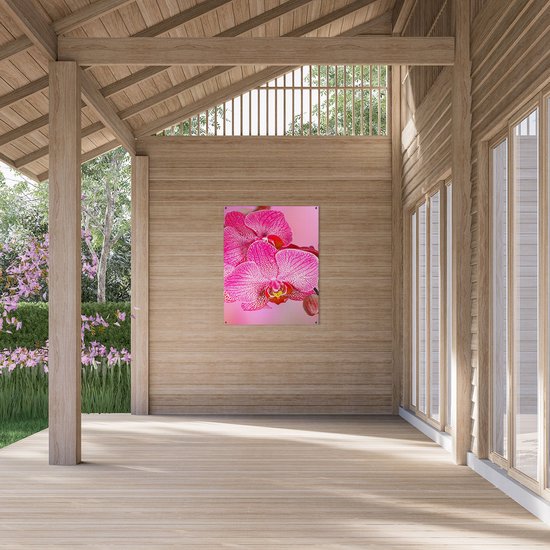 Gards Affiche de jardin Fleurs d'orchidées roses - 80x100 cm - Toile jardin - Décoration de jardin - Décoration murale extérieur - Tableau jardin