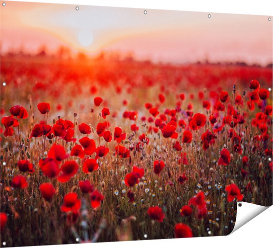 Gards Tuinposter Rode Klaprozen Bloemenveld Zonsondergang - 160x120 cm - Tuindoek - Tuindecoratie - Wanddecoratie buiten - Tuinschilderij