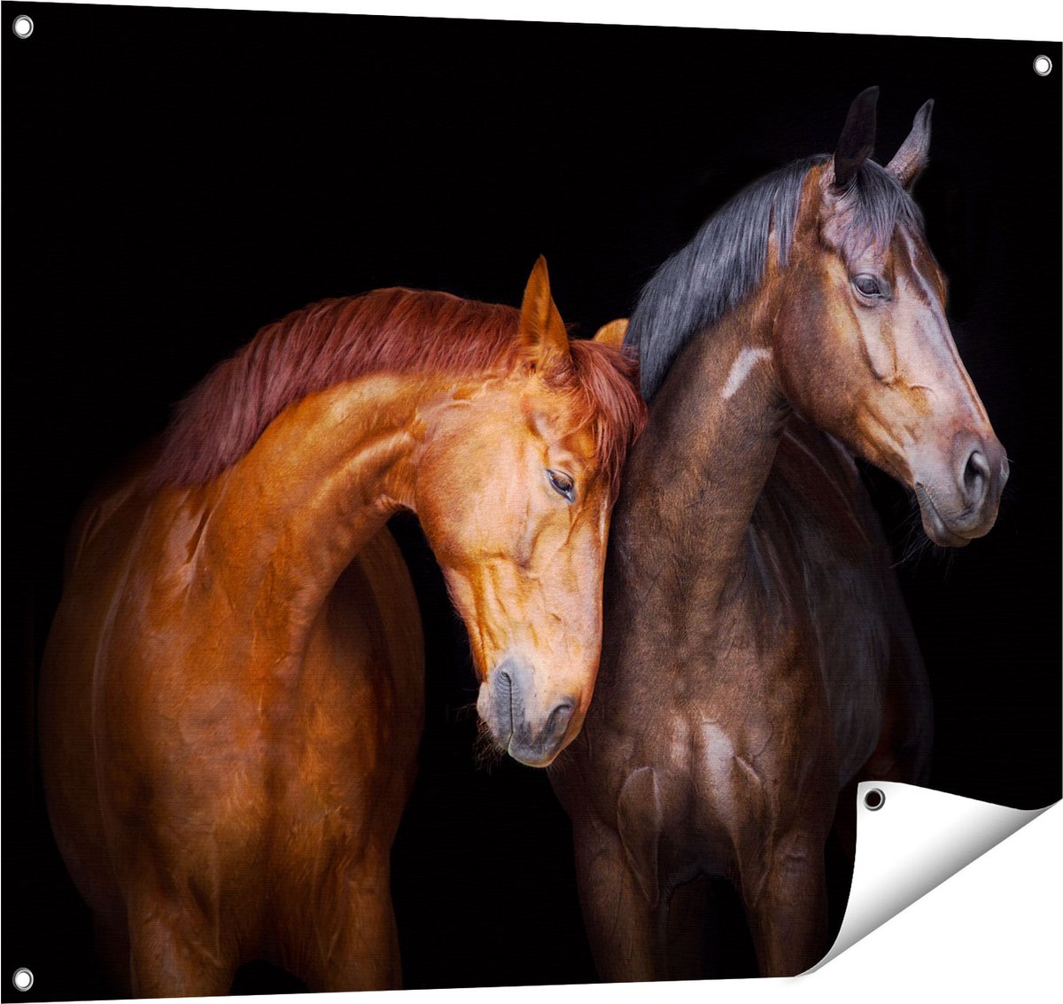 Gards Tuinposter Twee Bruine Paarden Koppel - Liefde - 100x80 cm - Tuindoek - Tuindecoratie - Wanddecoratie buiten - Tuinschilderij Multikleur