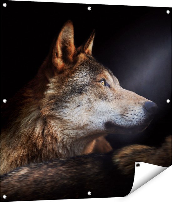 Gards Tuinposter Wolvenkop Met Een Zonnestraal Wolf 90x90 Cm gards-tuinposter-wolvenkop-met-een-zonnestraal-wolf-90x90-cm
