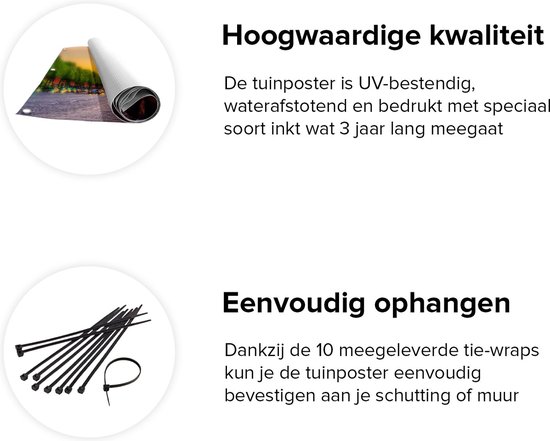 Affiche Jardin du Gards Arc de Triomphe à Paris depuis la Rue - 100x100 cm - Toile de jardin - Décoration de jardin - Décoration murale extérieur - Tableau jardin