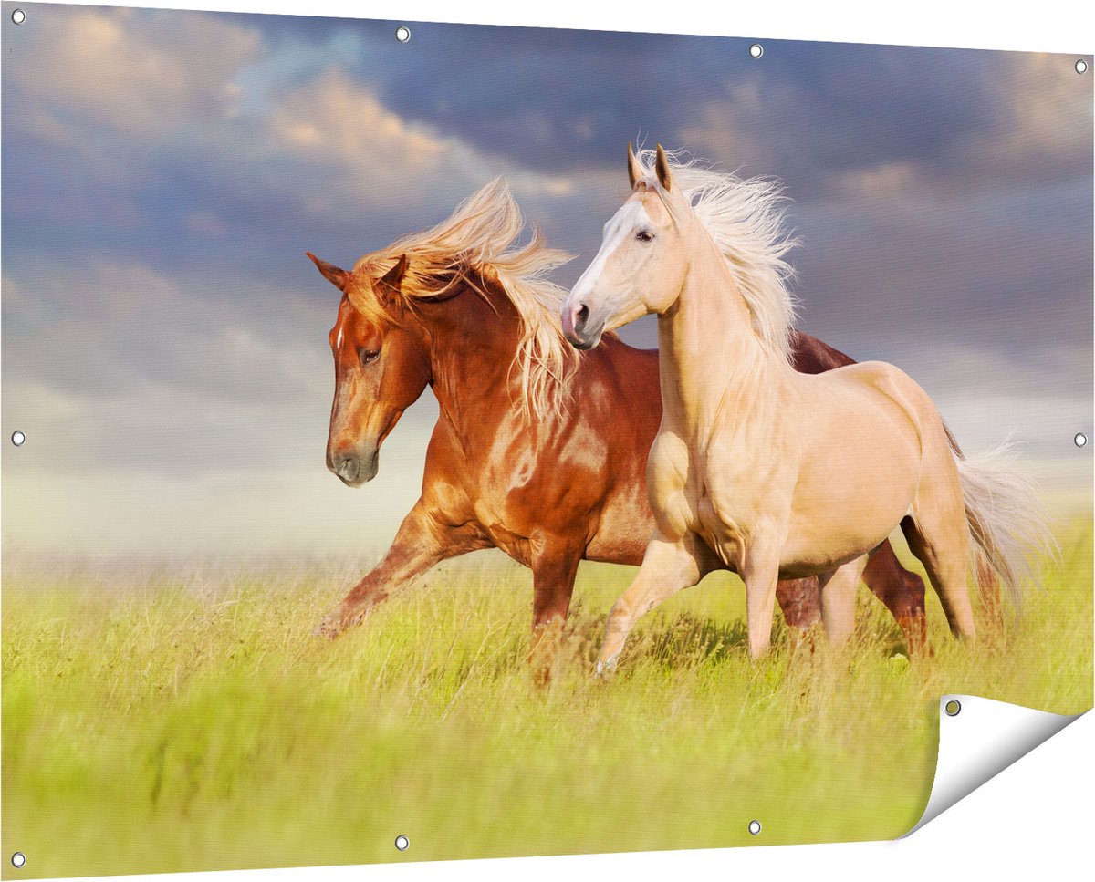 Gards Tuinposter Bruin en Wit Paard in de Wei - 150x100 cm - Tuindoek - Tuindecoratie - Wanddecoratie buiten - Tuinschilderij Multikleur