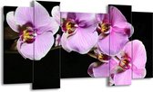GroepArt - Schilderij - Orchidee - Zwart, Paars, Wit - 120x65 5Luik - Foto Op Canvas - GroepArt 6000+ Schilderijen 0p Canvas Art Collectie - Wanddecoratie