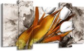 GroepArt - Schilderij - Tulpen - Grijs, Wit, Bruin - 120x65 5Luik - Foto Op Canvas - GroepArt 6000+ Schilderijen 0p Canvas Art Collectie - Wanddecoratie