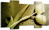 GroepArt - Schilderij - Tulp - Groen, Grijs - 120x65 5Luik - Foto Op Canvas - GroepArt 6000+ Schilderijen 0p Canvas Art Collectie - Wanddecoratie