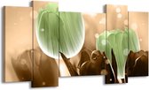 GroepArt - Schilderij - Tulp - Groen, Bruin - 120x65 5Luik - Foto Op Canvas - GroepArt 6000+ Schilderijen 0p Canvas Art Collectie - Wanddecoratie