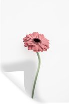 Muurstickers - Sticker Folie - Bloemen - Roze - Natuur - Wit - Plant - 60x90 cm - Plakfolie - Muurstickers Kinderkamer - Zelfklevend Behang - Zelfklevend behangpapier - Stickerfolie