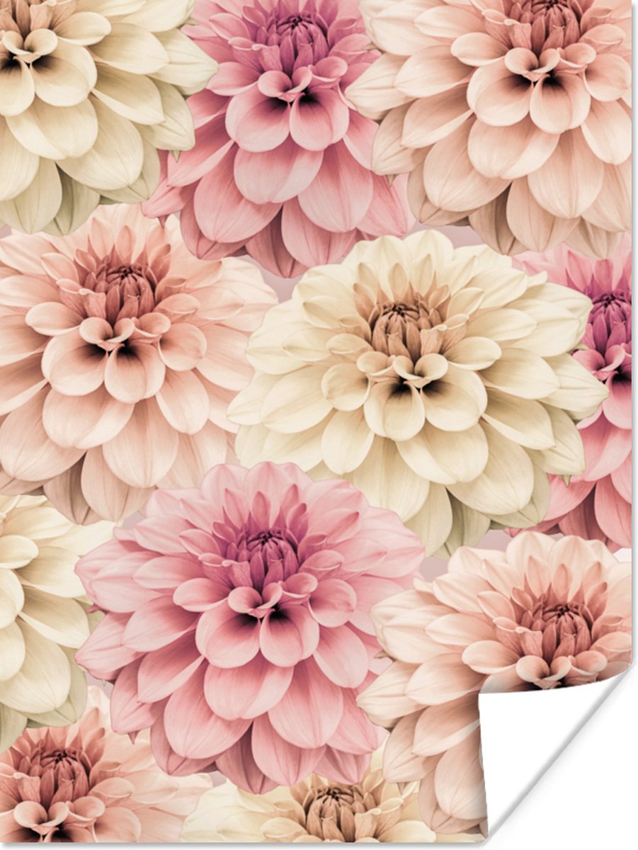 Poster Bloemen - Roze - Wit - Natuur - 60x80 cm