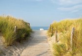 Fotobehang - Vlies Behang - Strandpad tussen de Duinen naar Zee - 368 x 380 cm