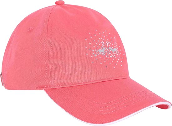 Hv Polo Pet Hv Polo Hvpclassic Roze bol