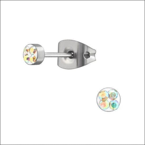 Aramat jewels ® - Titanium oorbellen rond titanium AB transparant zilverkleurig 3mm