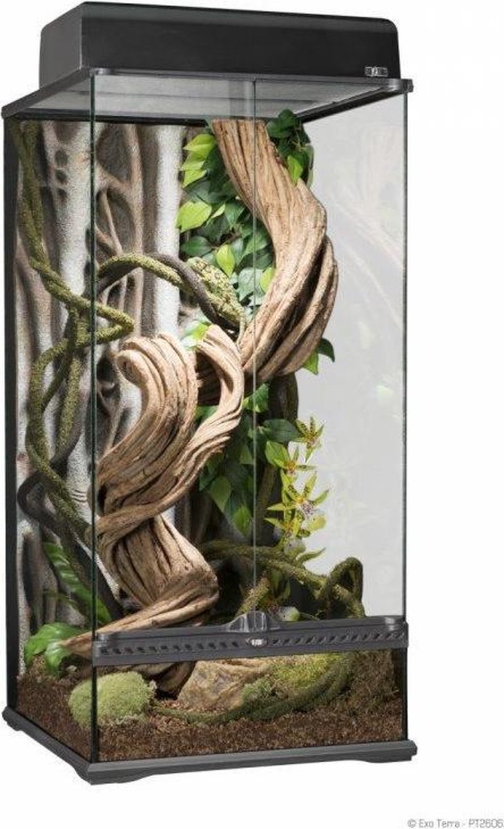 Exo Terra Rainforest - Terrarium - S X-Tal Paludarium - 45 x 45 x 90cm