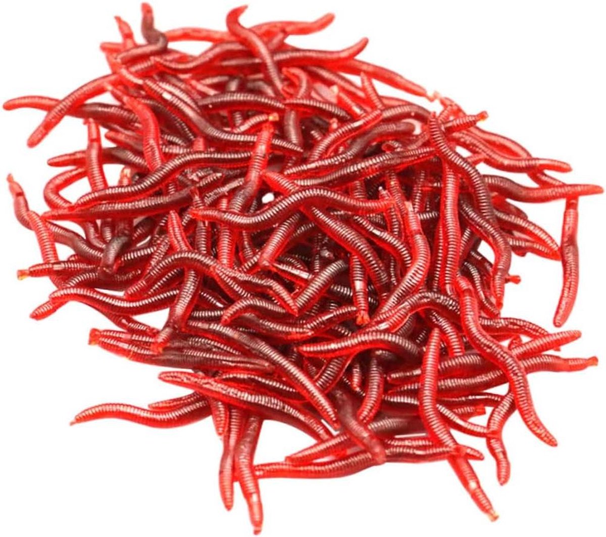 Valse Worms - Aas Vissen - Vissen - Realistische Simulatie - 400 stuks - Rood