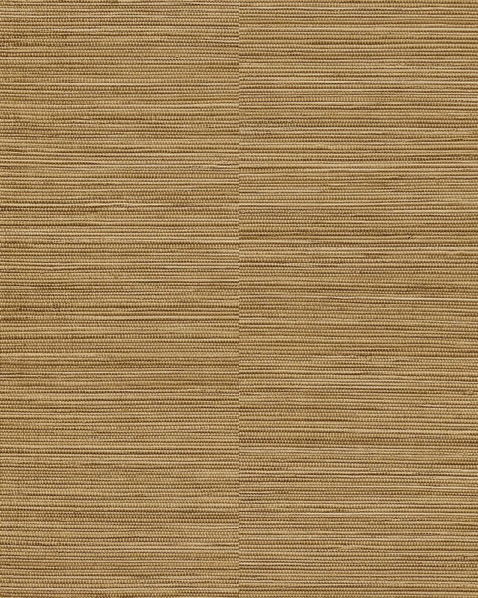 SPITS 22A62904