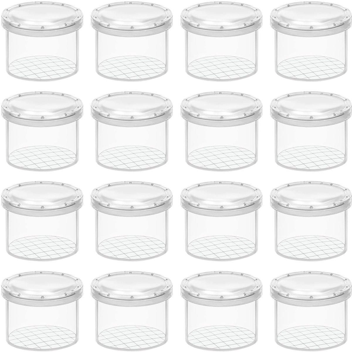 Dailygoods - 16-Delige Insecten Vergrootglas Set voor Onderwijs en Natuuronderzoek