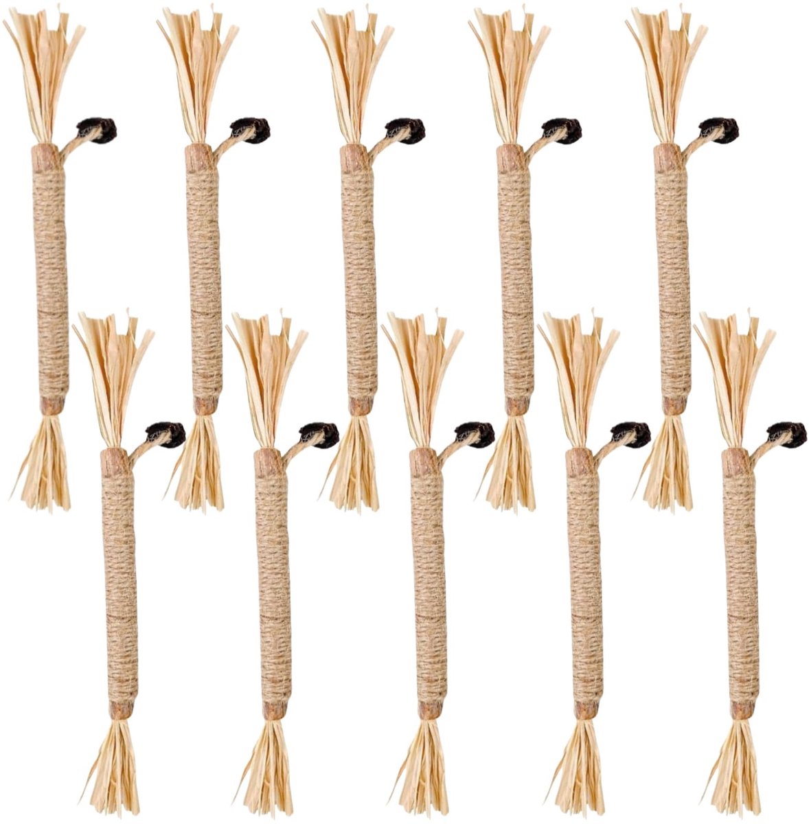 Dailygoods - Matatabi Kattenkauw Sticks - 2 Stuks Catnip Kauwspeelgoed voor Gezonde Katten