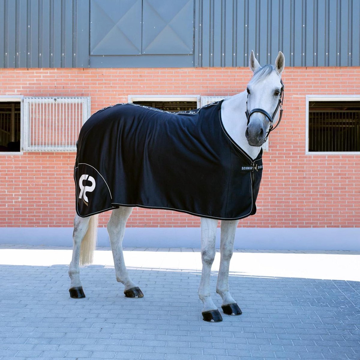 Paardendeken - Zweetdeken Staldeken - Paard Verzorgen - Winddicht Ademend - 155 cm - Zwart