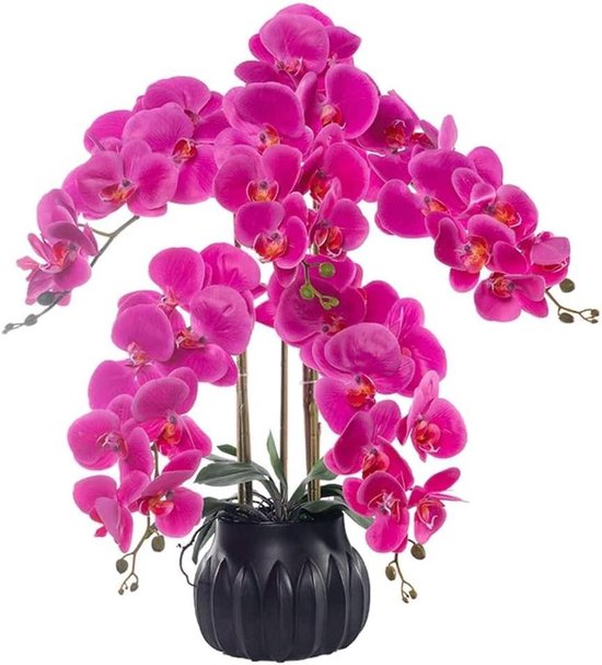 Phalaenopsis Orchids - Kunstorchideeën Nepbloemen - Woonkamer Decoratie - Real Touch Polyurethaan - 68 cm Hoog - Wit