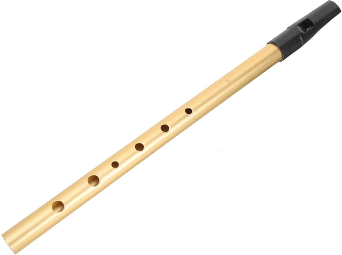Tin Whistle, Irish Whistle, Gold Metal Penny Whistle, 6 Hole Irish Whistle for Beginners and Lovers - ShopVlot