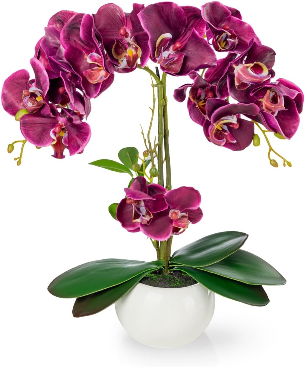 Kunstorchidee in glanzende keramieken pot (40 cm) - Elegante uitstraling - Natuurlijke kleuren - Perfect voor binnen - ShopVlot