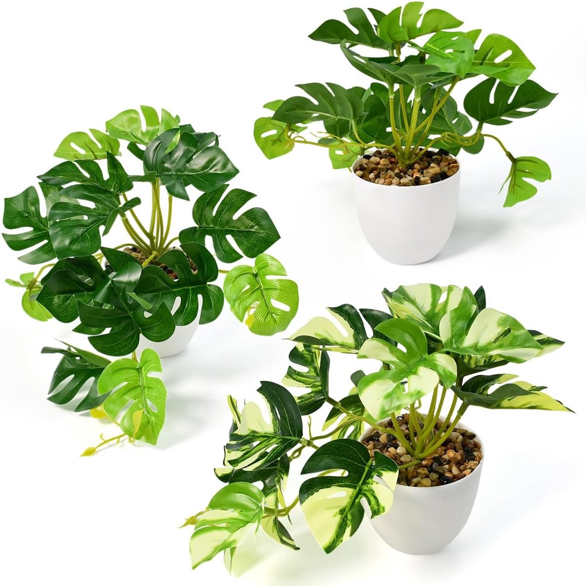 Imitation Turtle Leaf Potted Plant - ShopVlot