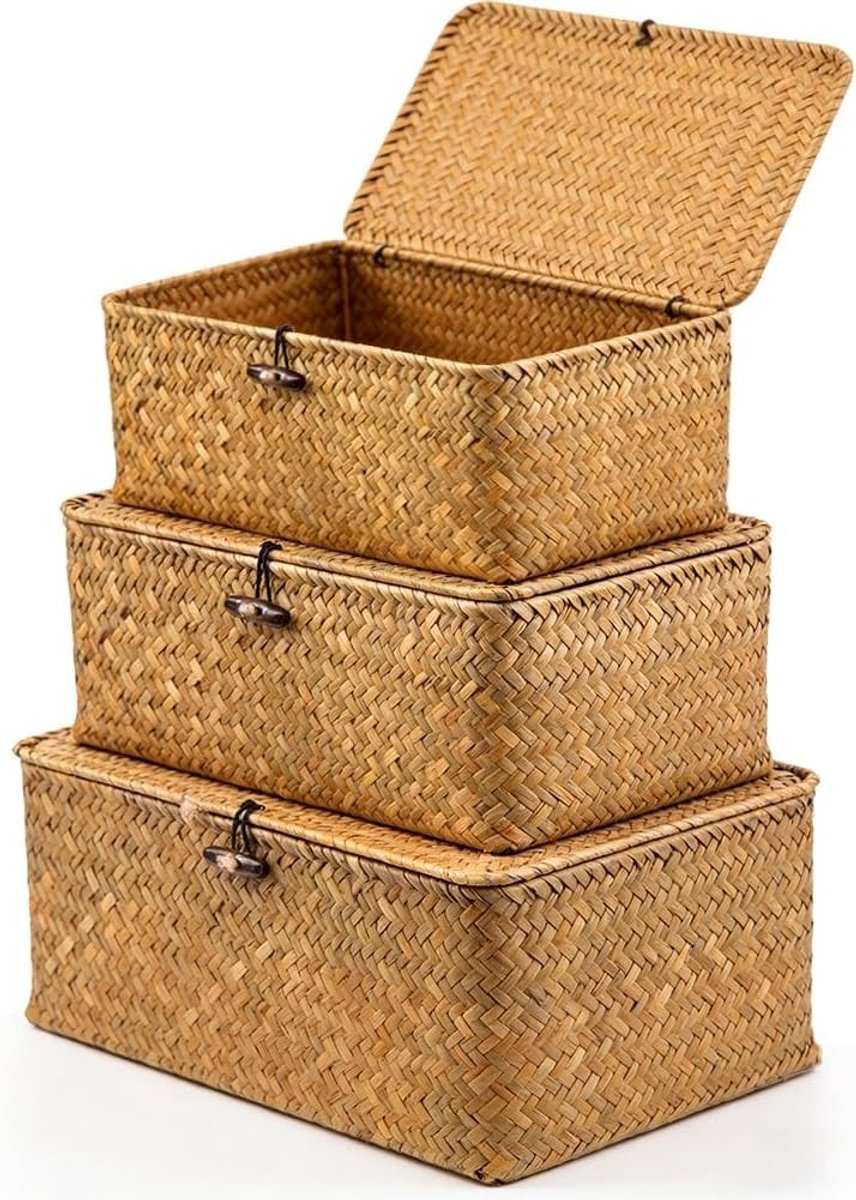 Natuurlijke Rieten Opbergmanden met Deksel, Set van 3, Multifunctionele Mand voor Badkamer, Woonkamer en Keuken, Duurzaam en Stijlvol