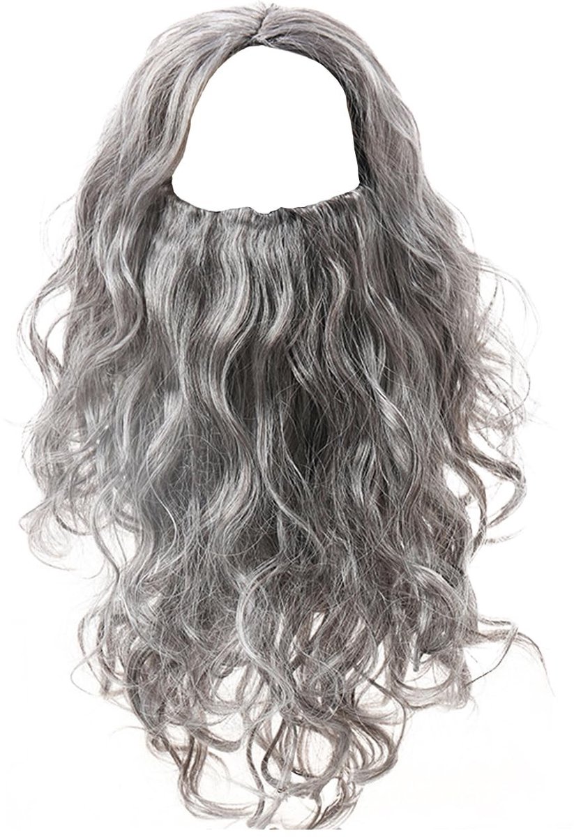 Solidchoice - Grijze Cosplay Wig en Baardset voor Feestjes