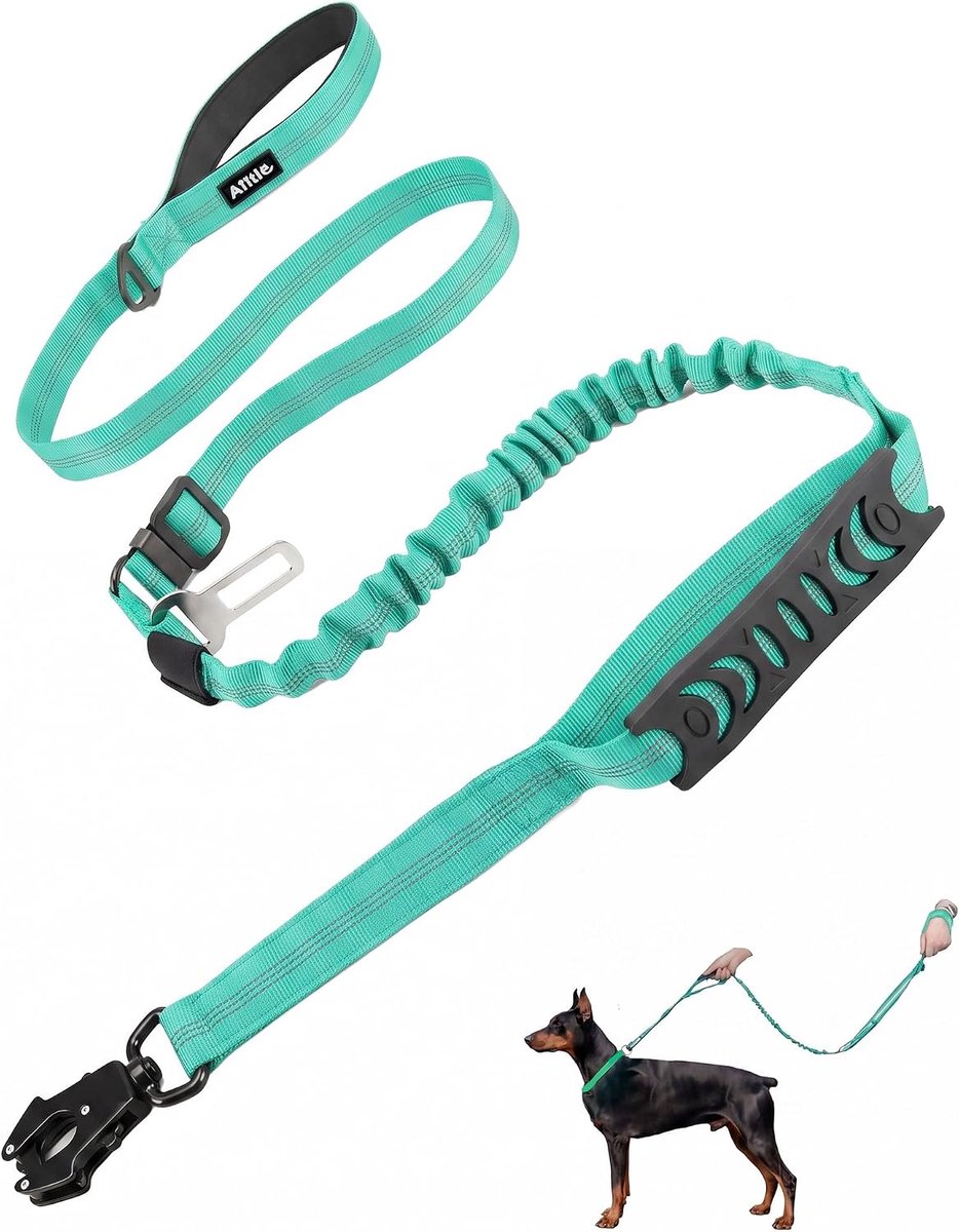 Hondenriem schokabsorberend - reflecterend turquoise - dubbele handgreep - veilig wandelen - ShopVlot