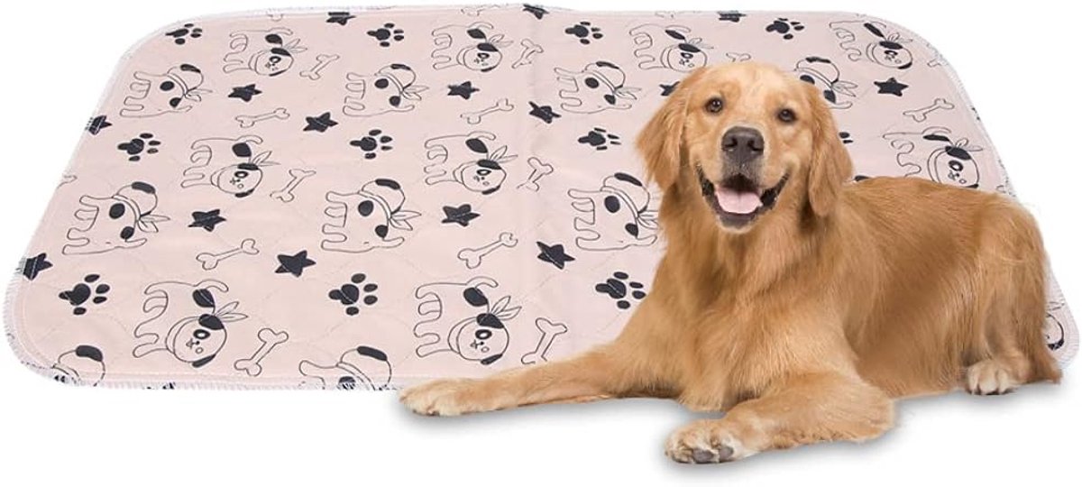 Hond trainingsmat waterdicht 40 x 60 cm - herbruikbaar met cartoonpatroon - beschermt vloer tegen urine - ShopVlot