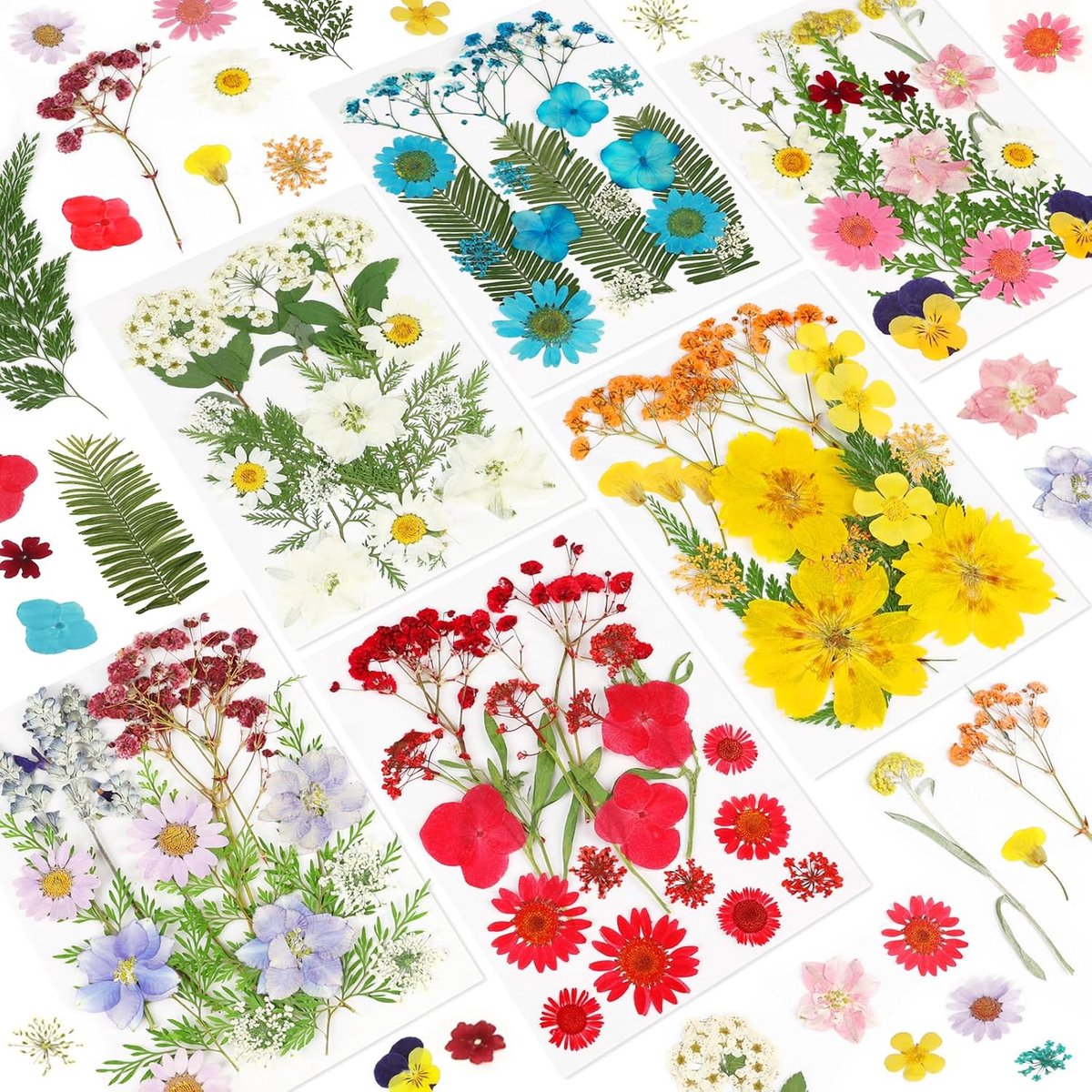 103 stuks gedroogde geperste bloemen voor hars, echte natuurlijke gedroogde bloemen voor knutselwerk, grote verpakking - ShopVlot