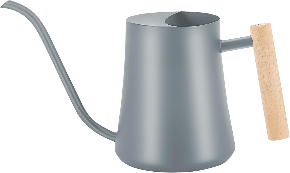 LanQii 1L/34oz Gieter Kamerplanten, Roestvrij Staal Indoor Water Kan Met Lange Uitloop En Houten Handvat Gieter Voor - ShopVlot