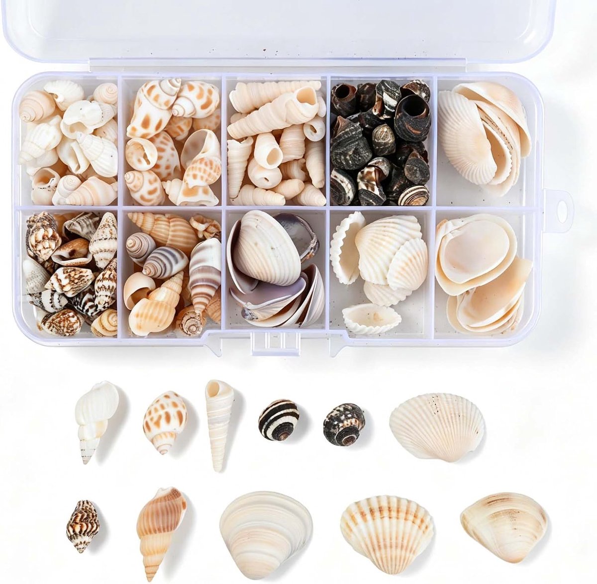 Schelpenset voor decoratie - witte zeeschelpen - schattige vormen - perfect voor feestdecoratie - ShopVlot