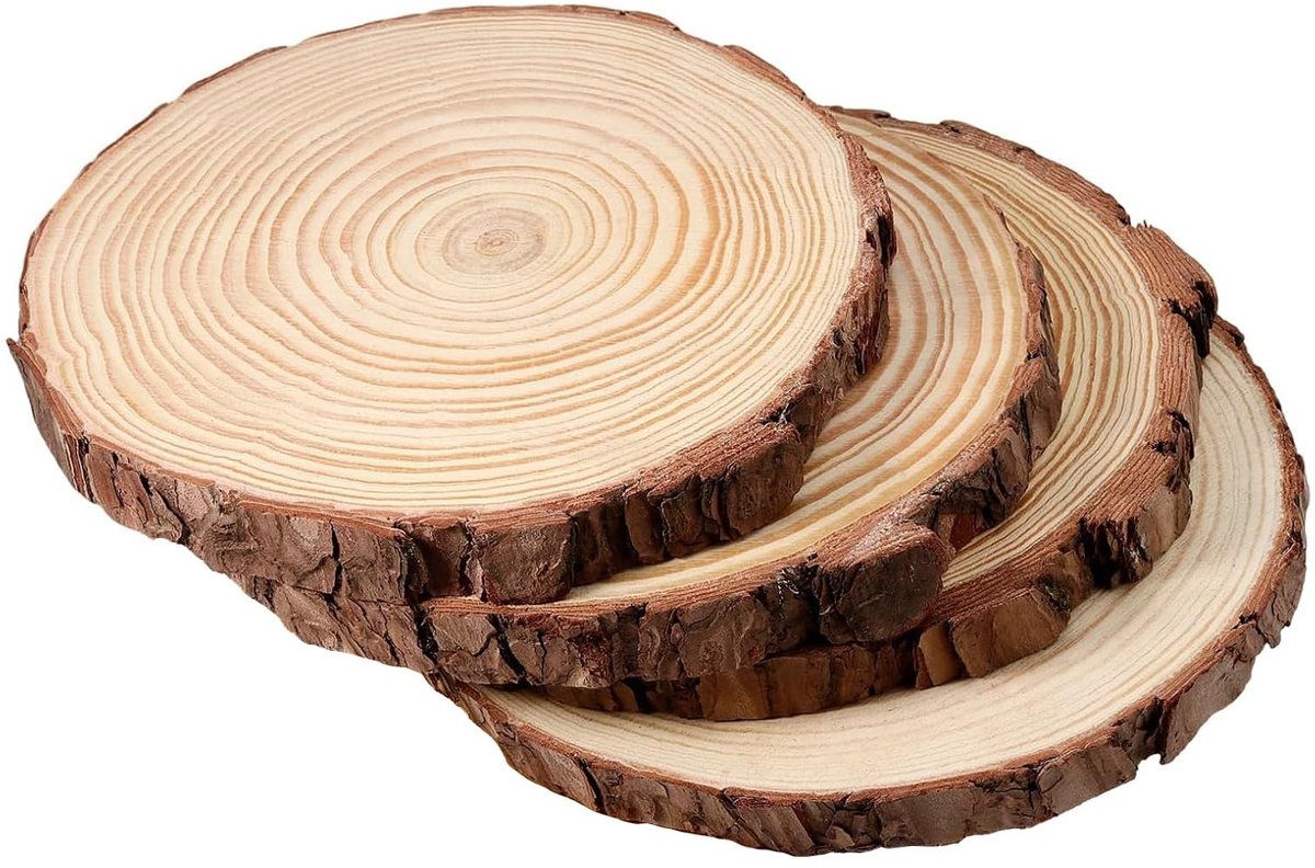 Solidchoice - Set van 4 Onbehandelde Houten Schijven