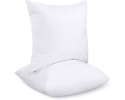 AIO FACTORY - Kussen - Antiallergisch - Mikrofiber - Wit - 80x80 cm