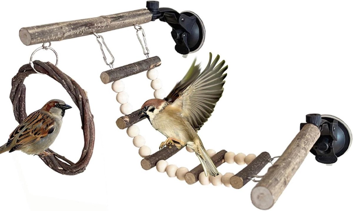Vogel Touwladder - Klimbrug Speelgoed - Vogelkooi Verrijking - Met Zuignappen - 20L x 19B x 65H cm - Niet gespecificeerd
