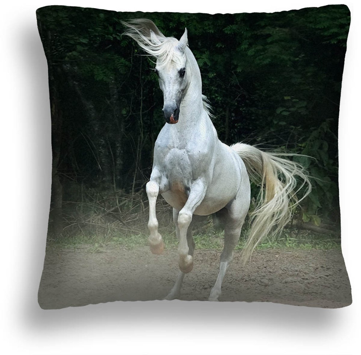 Decoratieve Kussen 40x40 cm met Paardenmotief - Inclusief Vulling