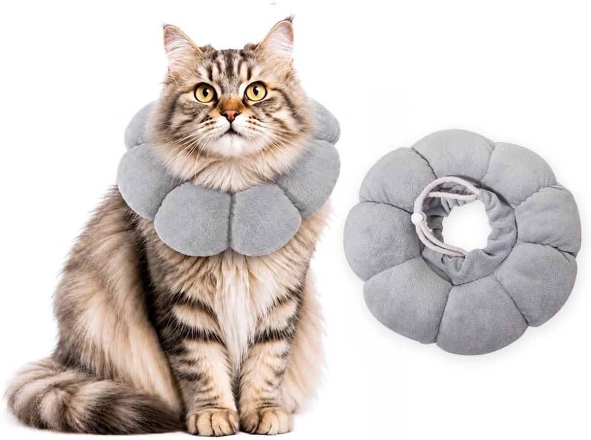 Kattenhalsband, anti-likken, anti-krabben - ShopVlot